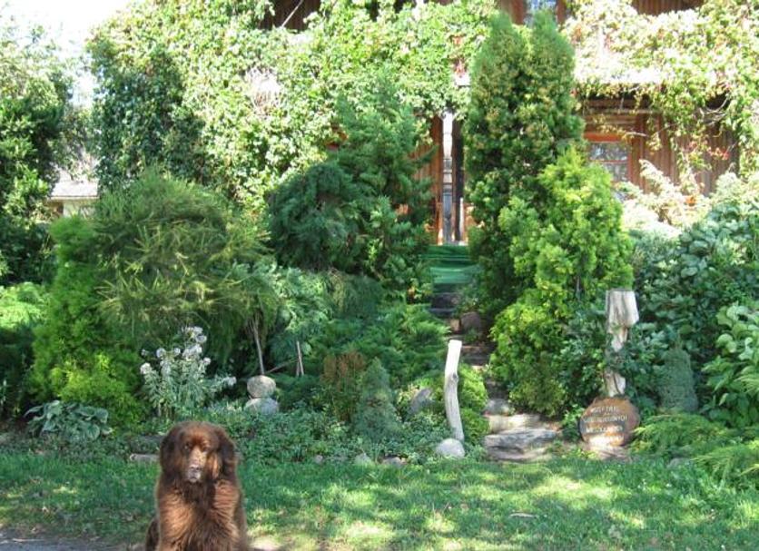 Outdoors view Photo
