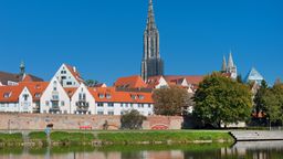 buchbinder car rental new york