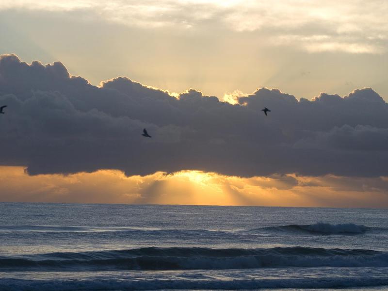 Kayak Surfside Beach Sc Kayak Surfside Beach Sc